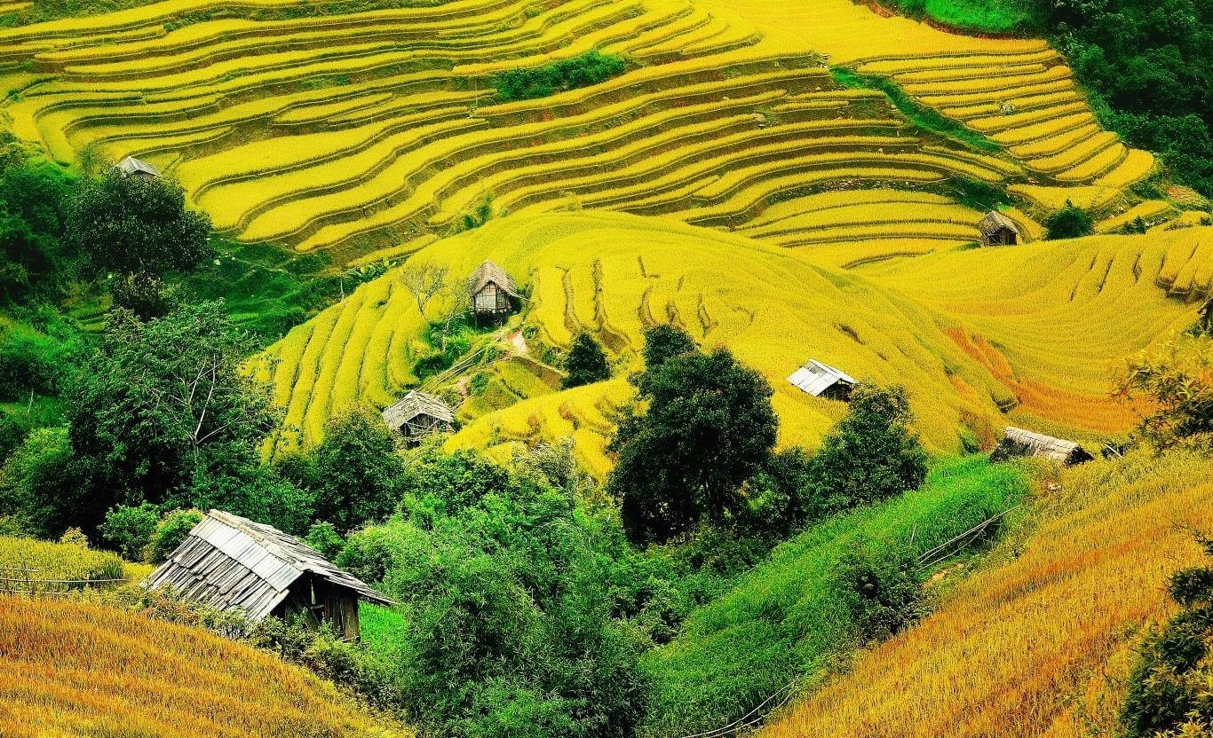 mùa thu SaPa